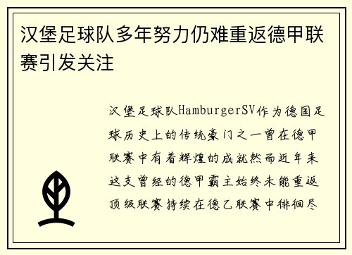 汉堡足球队多年努力仍难重返德甲联赛引发关注 汉堡足球队多年努力仍难重返德甲联赛引发关注
